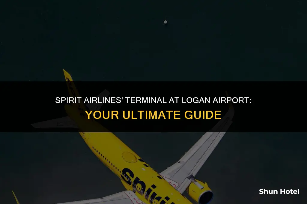 what terminal is spirt airlies at logan airport