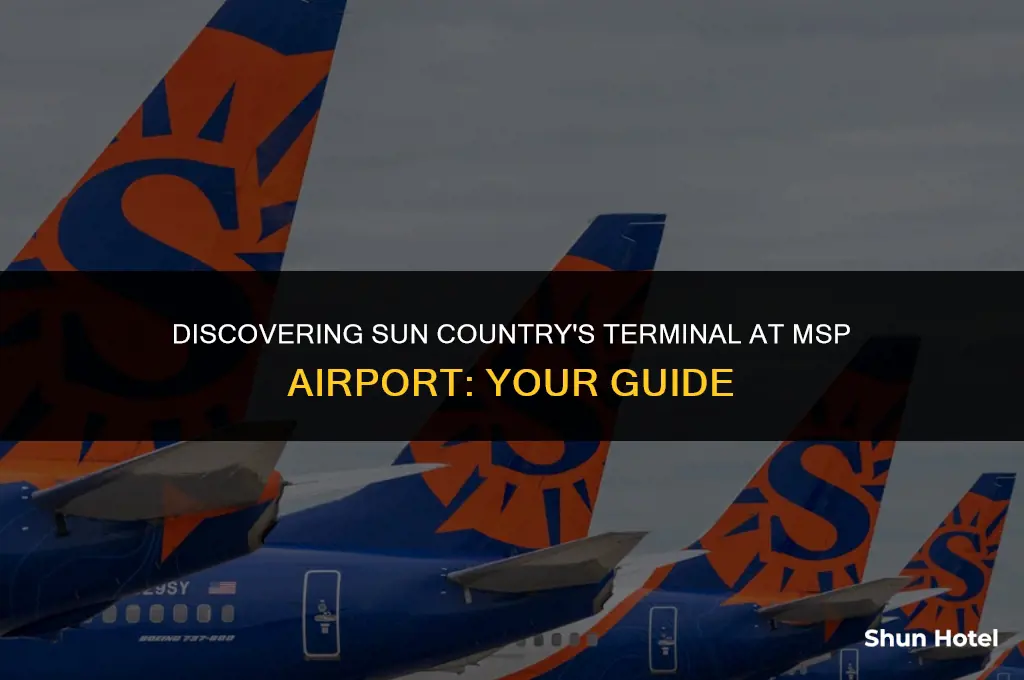 what terminal is sun country at msp airport