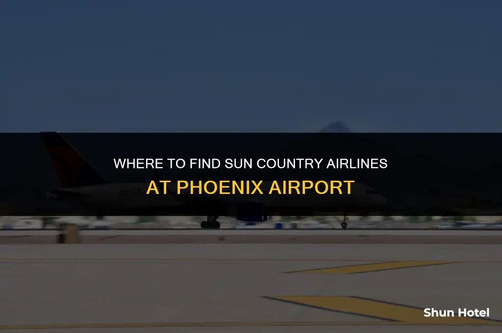 what terminal is sun country at phoenix airport