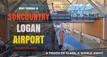 Exploring Sun Country Airlines' Terminal at Logan Airport