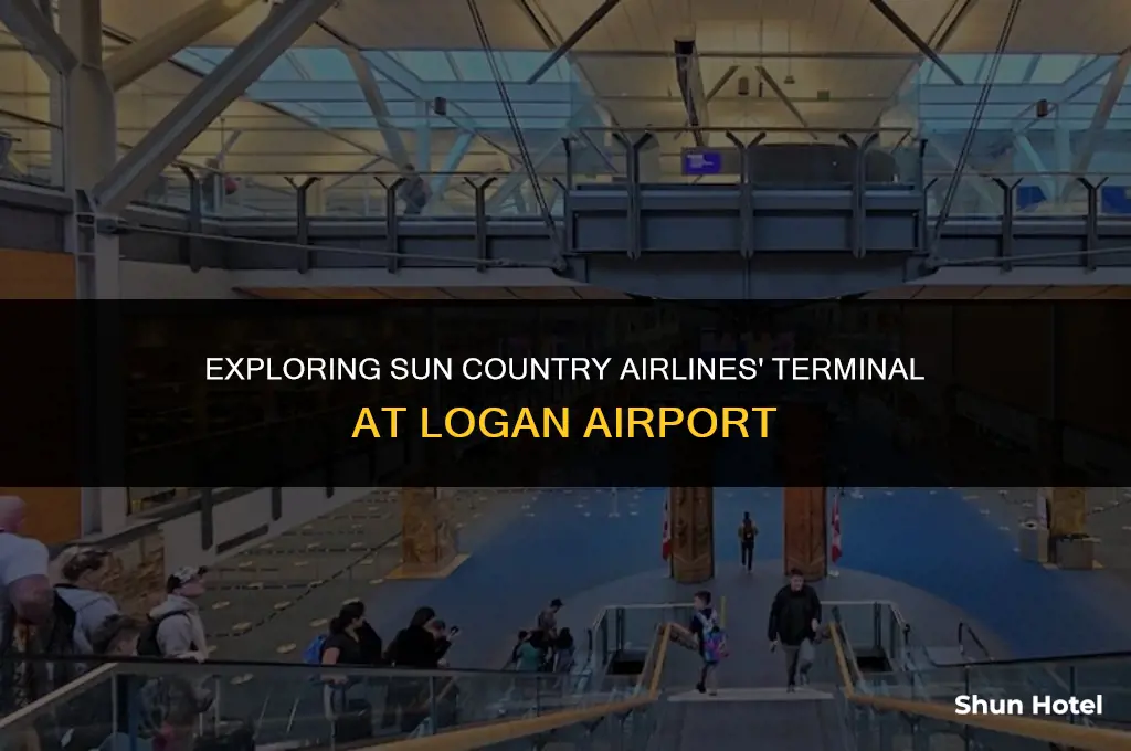 what terminal is suncountry logan airport
