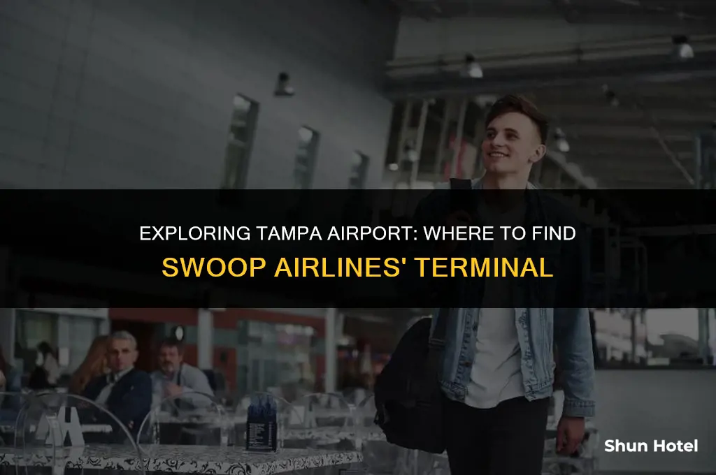what terminal is swoop at tampa airport