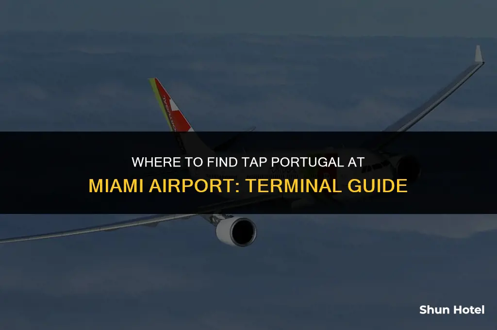 what terminal is tap portugal at miami airport