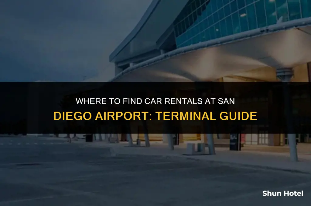 what terminal is the car rental at san diego airport