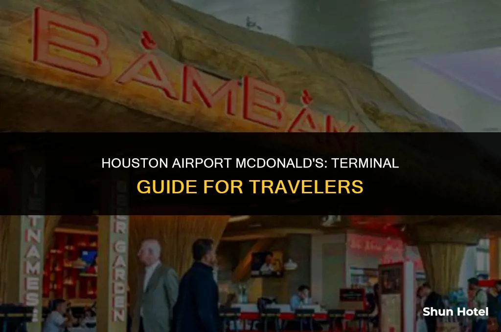 what terminal is the mcdonald