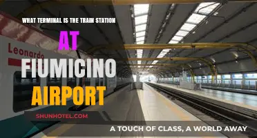Exploring Fiumicino Airport: A Guide to the Train Station Terminal