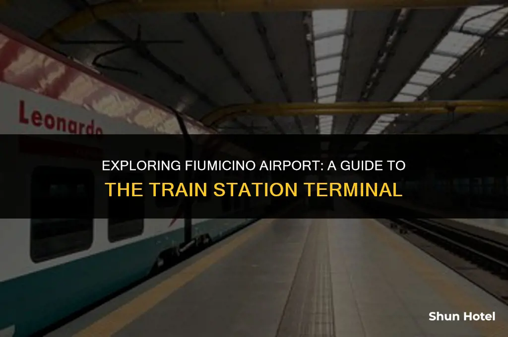 what terminal is the train station at fiumicino airport