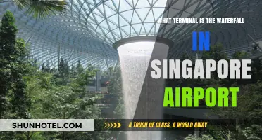 Discovering Singapore Airport's Hidden Gem: The Waterfall Terminal