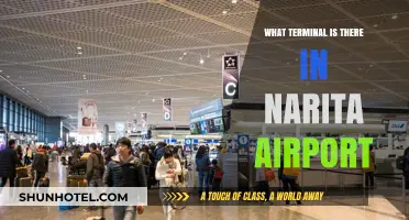 Exploring Narita Airport: A Guide to Its Terminals