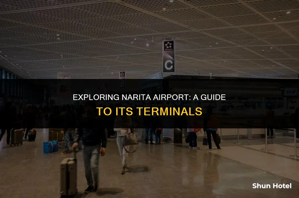 what terminal is there in narita airport