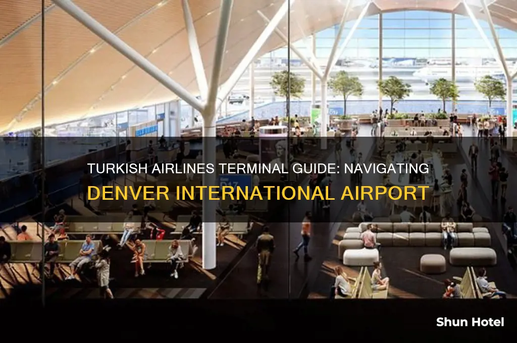 what terminal is turkish airlines at denver international airport