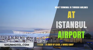 Exploring Istanbul Airport: Where to Find Turkish Airlines Terminal