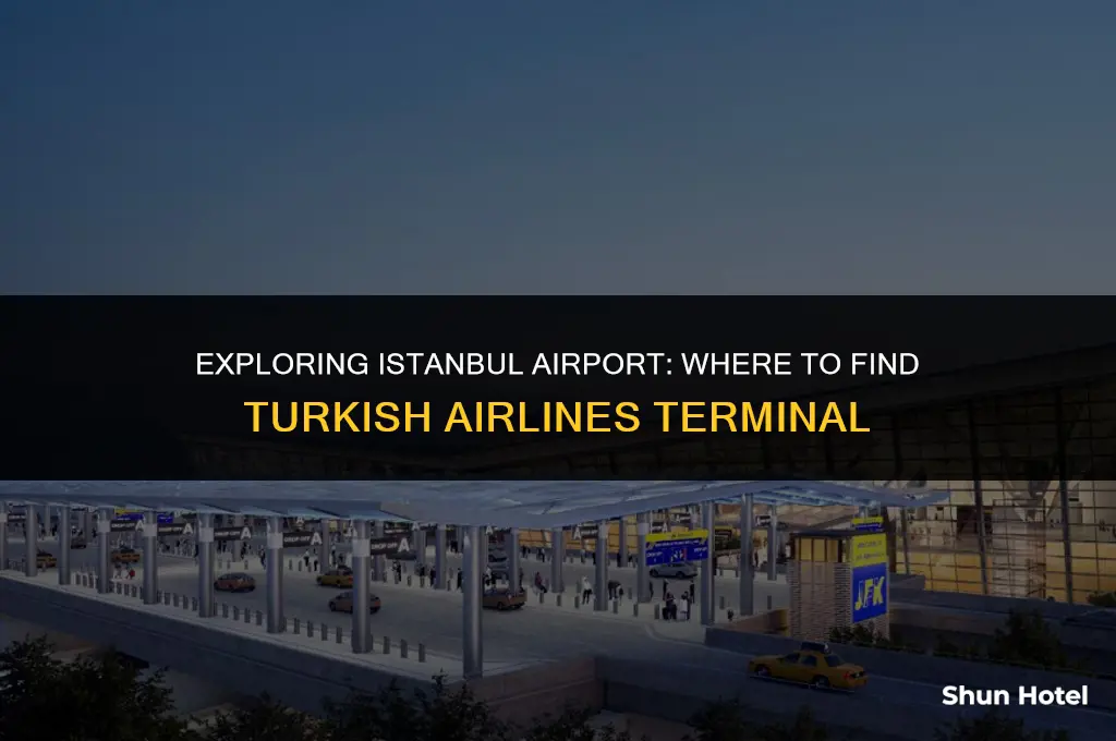 what terminal is turkish airlines at istanbul airport