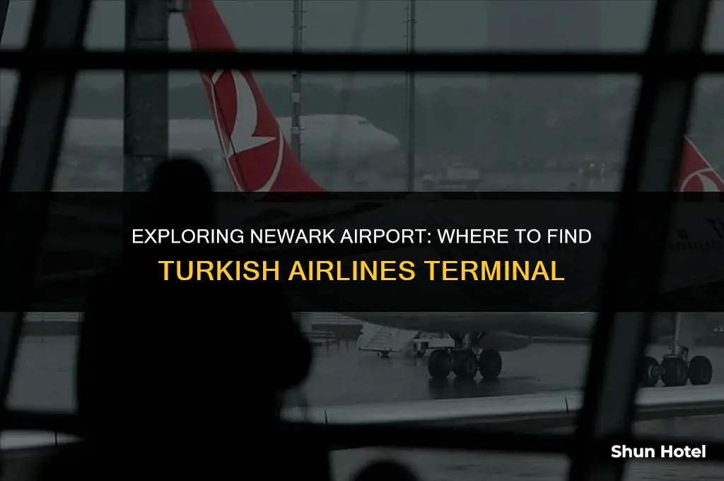 what terminal is turkish airlines at newark airport