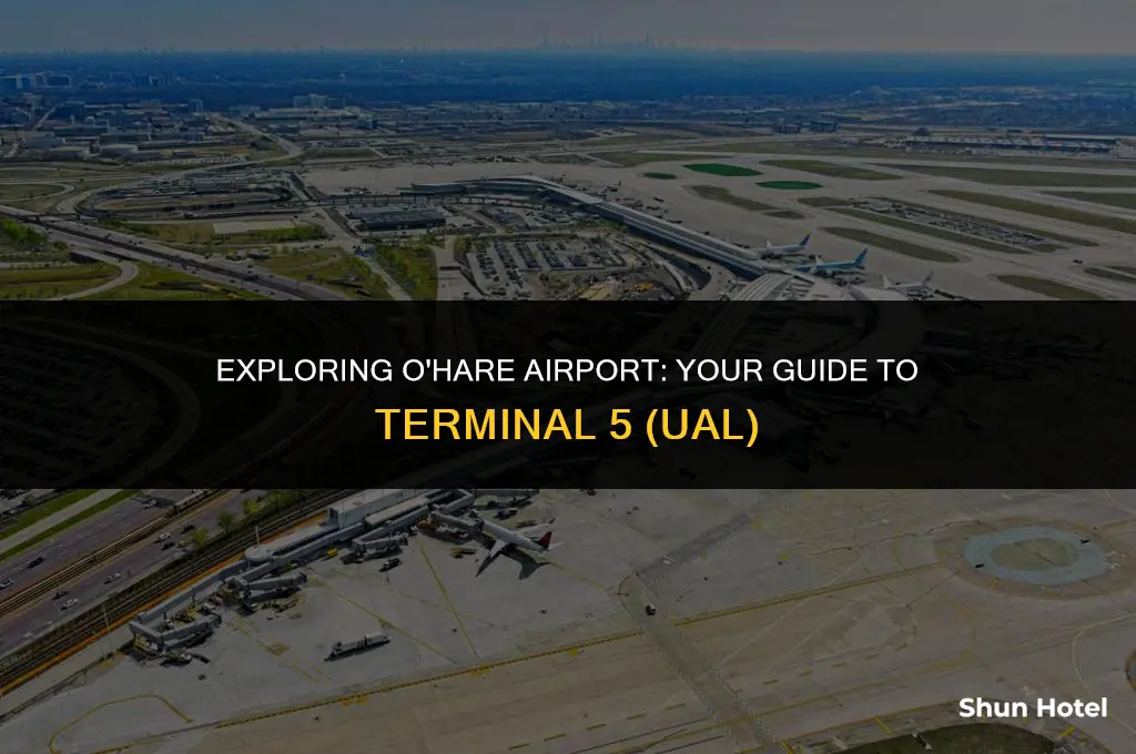 what terminal is ual at o