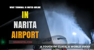 Exploring Narita: United Airlines' Terminal Guide