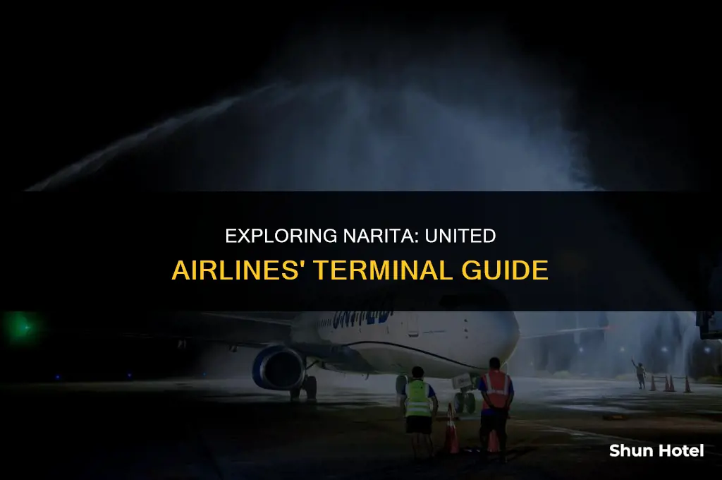 what terminal is united airline in narita airport