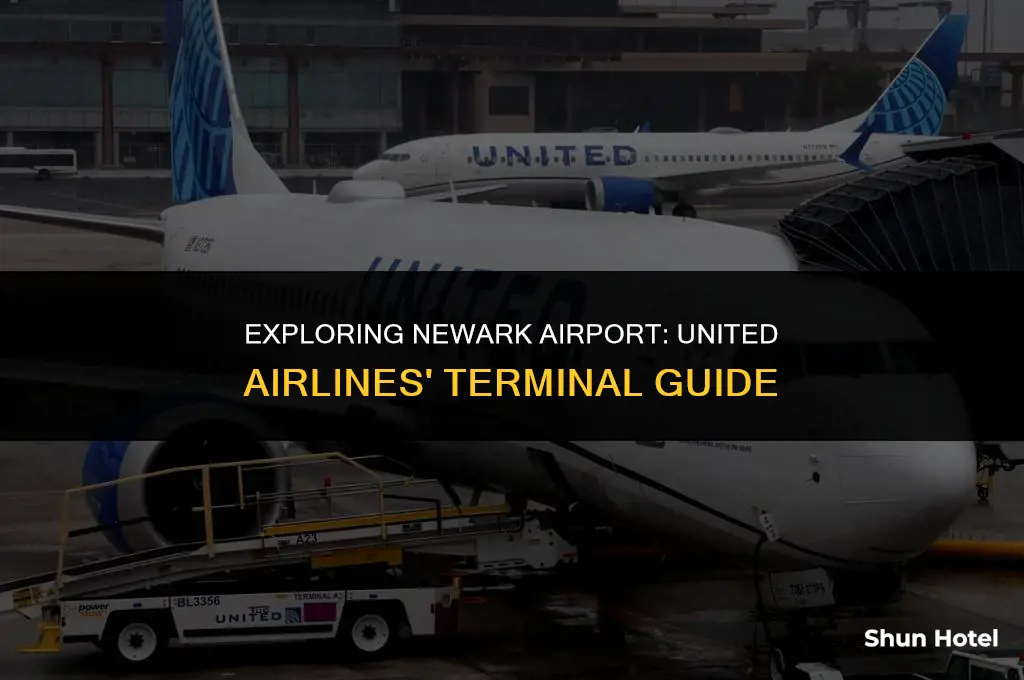 what terminal is united airline in newark airport