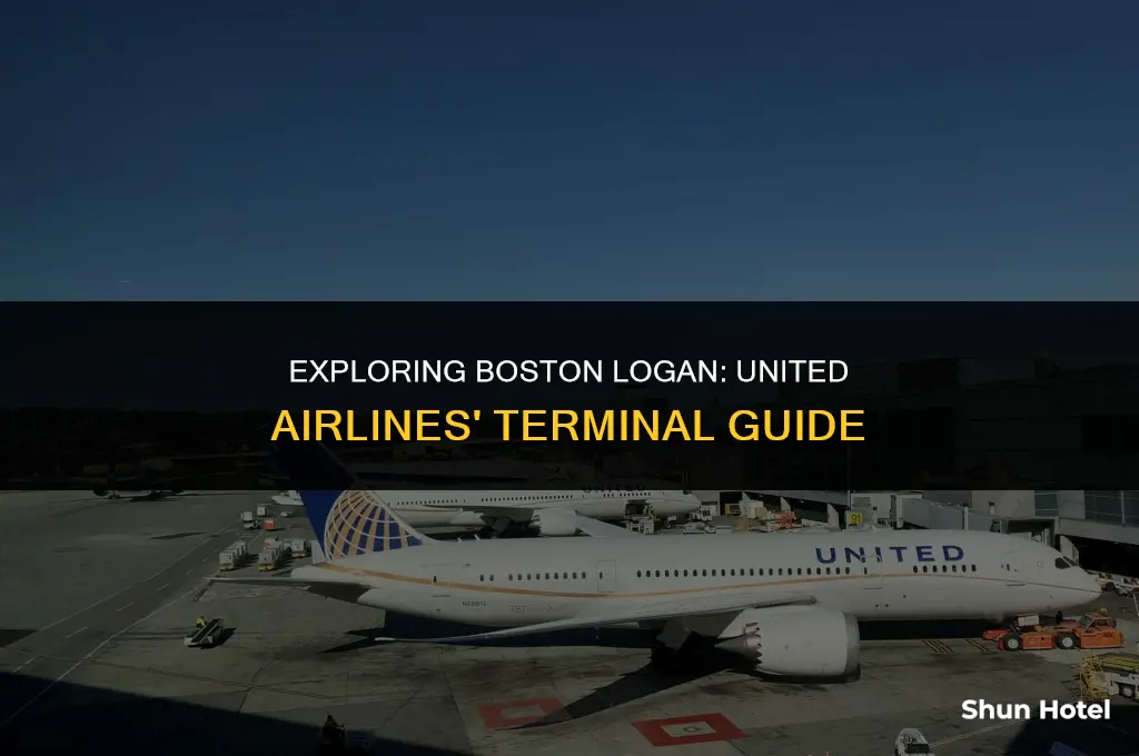 what terminal is united airlines at boston logan airport