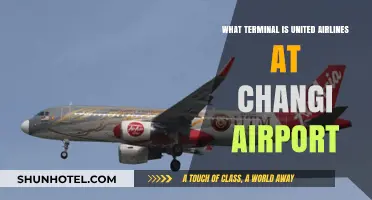 Exploring Changi: United Airlines' Terminal Guide