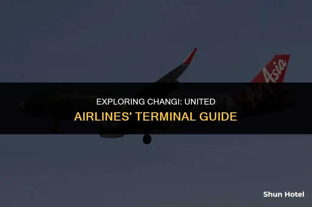 what terminal is united airlines at changi airport