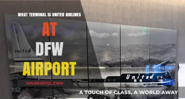 Exploring DFW: United Airlines' Terminal Guide for Travelers