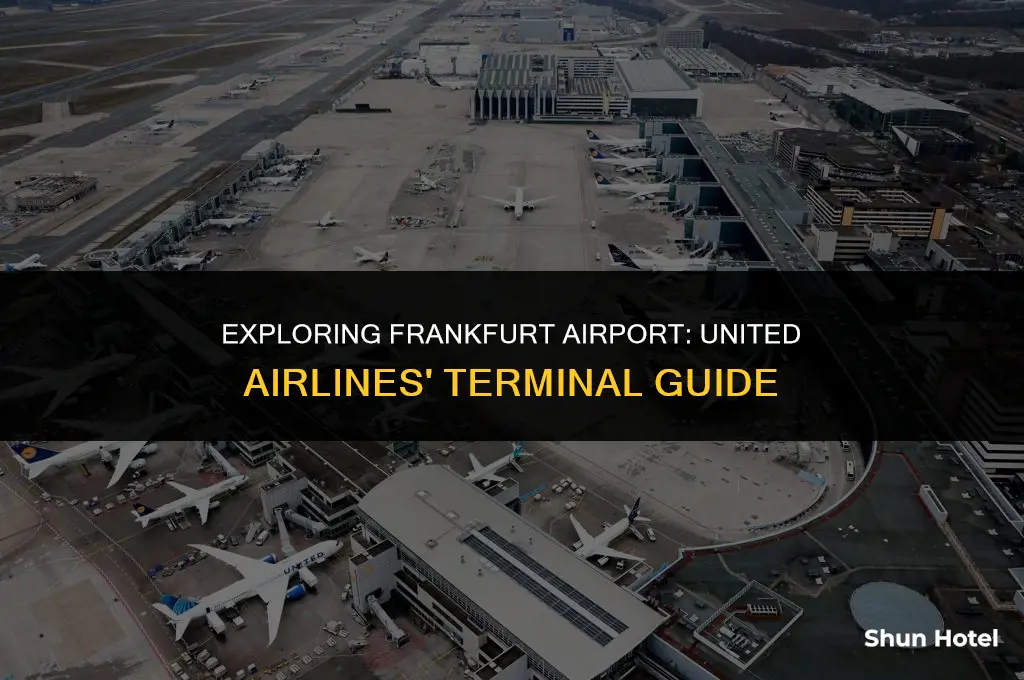 what terminal is united airlines at frankfurt airport