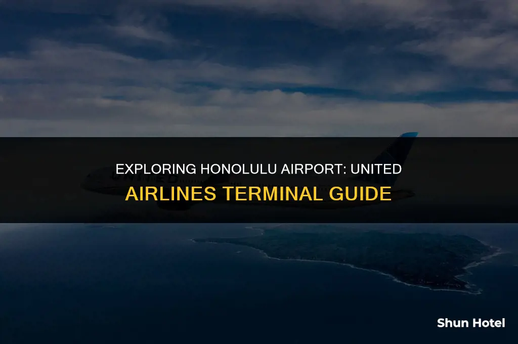 what terminal is united airlines at honolulu airport