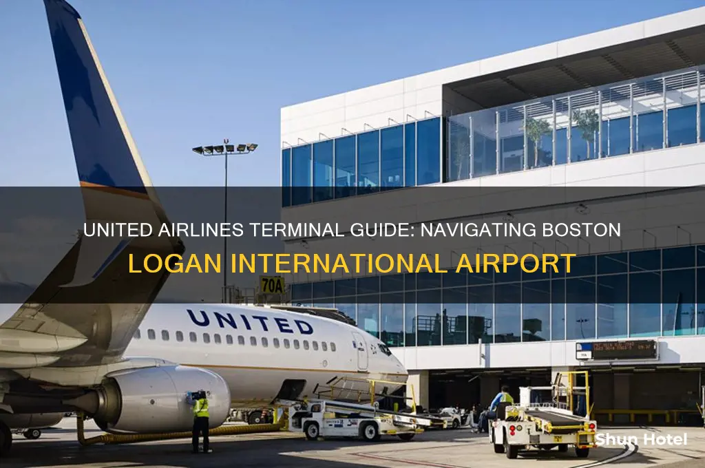what terminal is united airlines at logan international airport