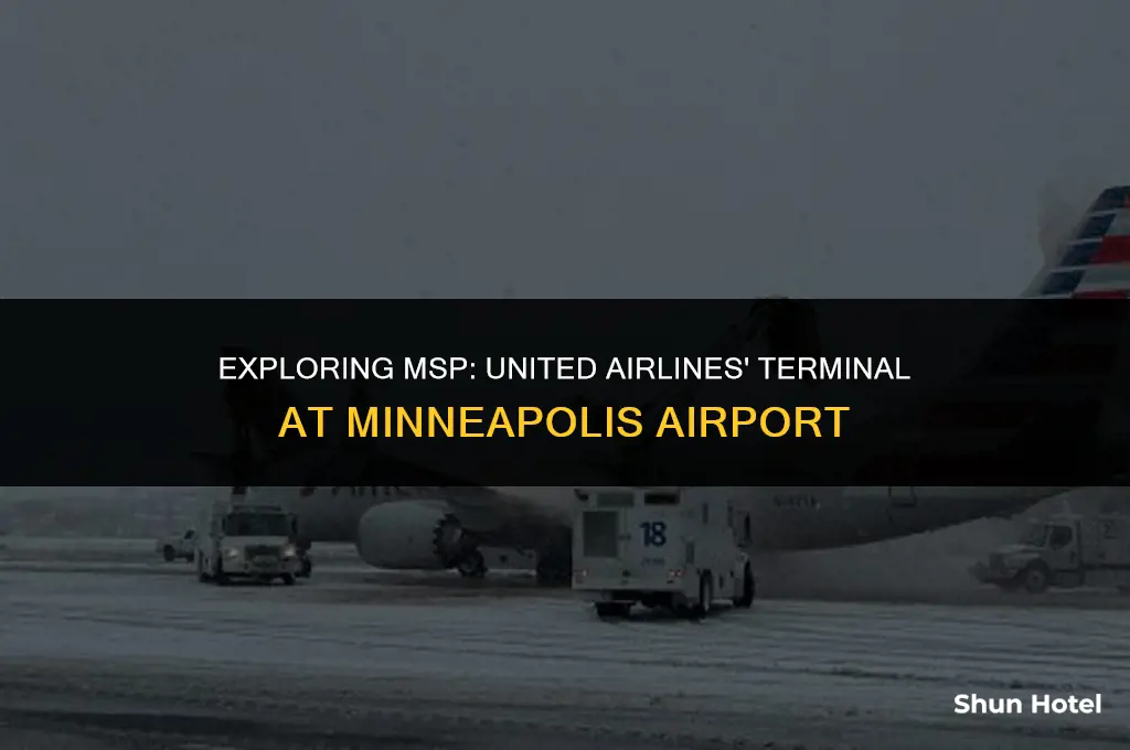 what terminal is united airlines at minn airport