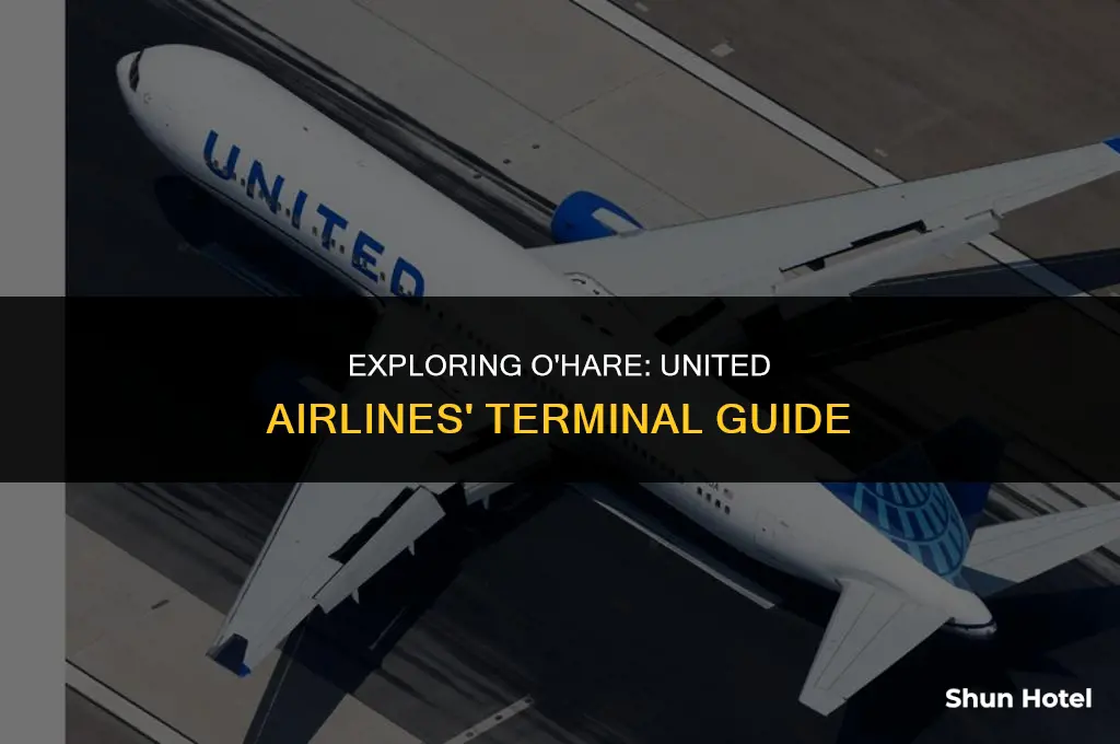 what terminal is united airlines at ohare airport