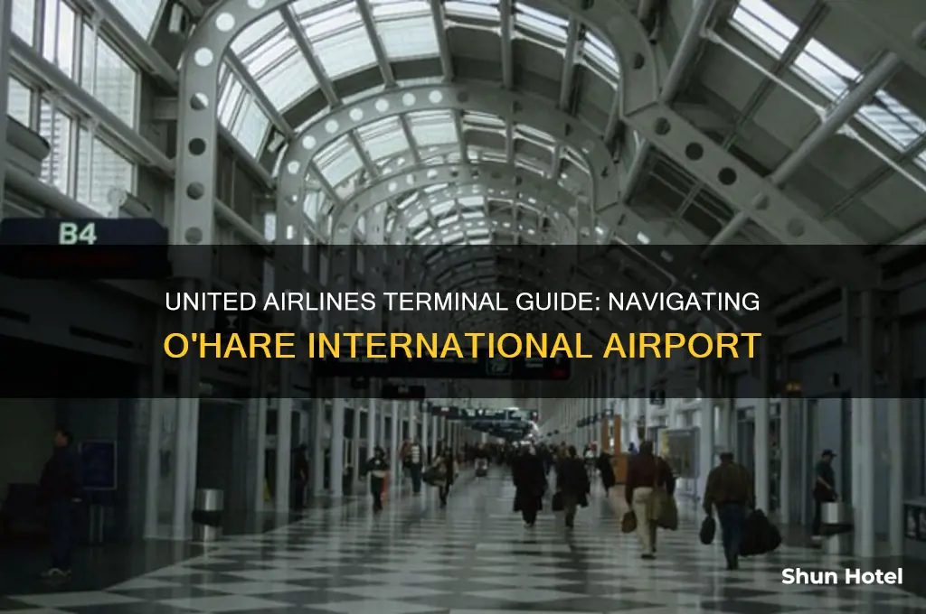 what terminal is united airlines at o