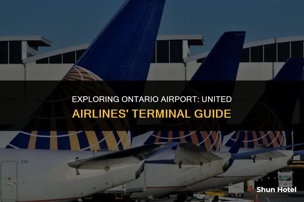 what terminal is united airlines at ontario airport