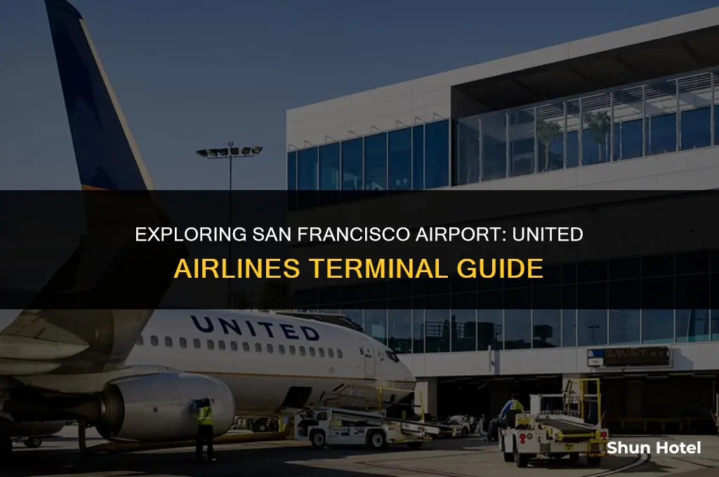 what terminal is united airlines at san francisco airport