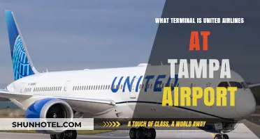 Exploring Tampa Airport: United Airlines' Terminal Guide