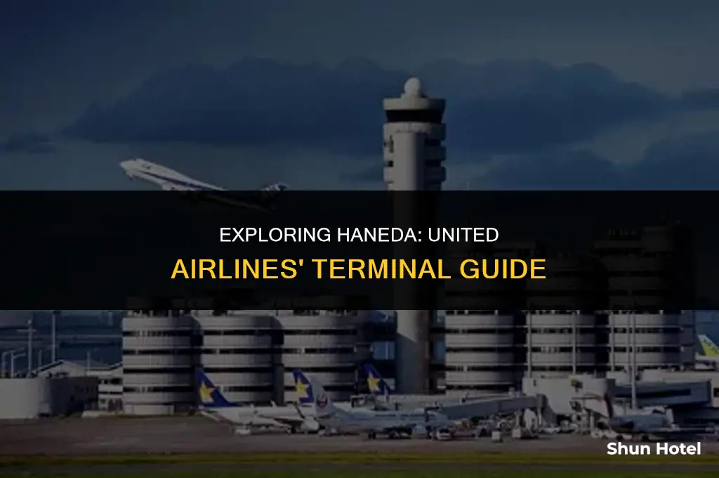 what terminal is united airlines in haneda airport