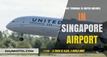 Exploring Singapore Airport: United Airlines' Terminal Guide