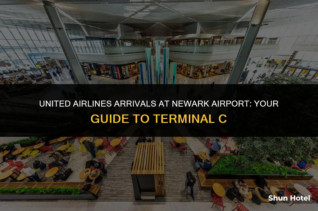 what terminal is united arrivals at newark airport