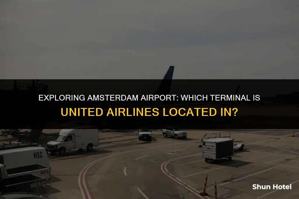 what terminal is united at amsterdam airport