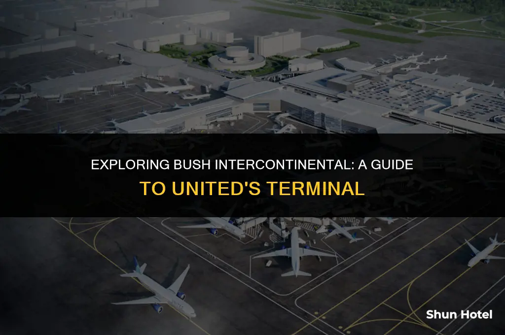 what terminal is united at bush intercontinental airport