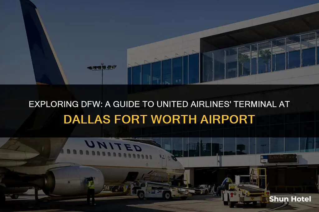 what terminal is united at dallas fort worth airport
