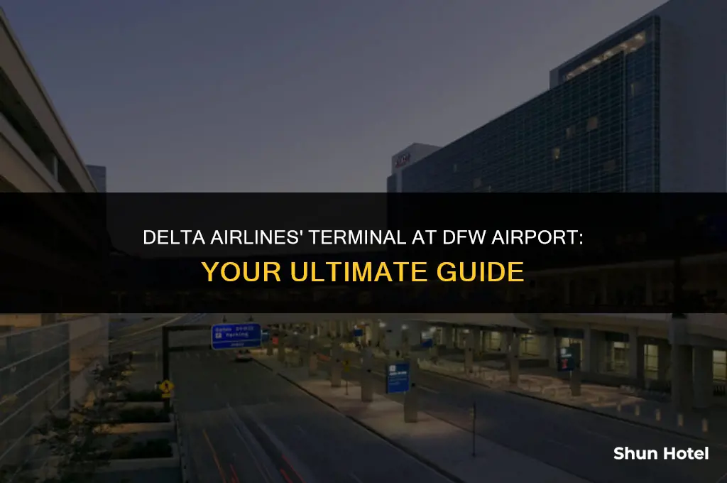 what terminal is united at dfw airport is delta airlines