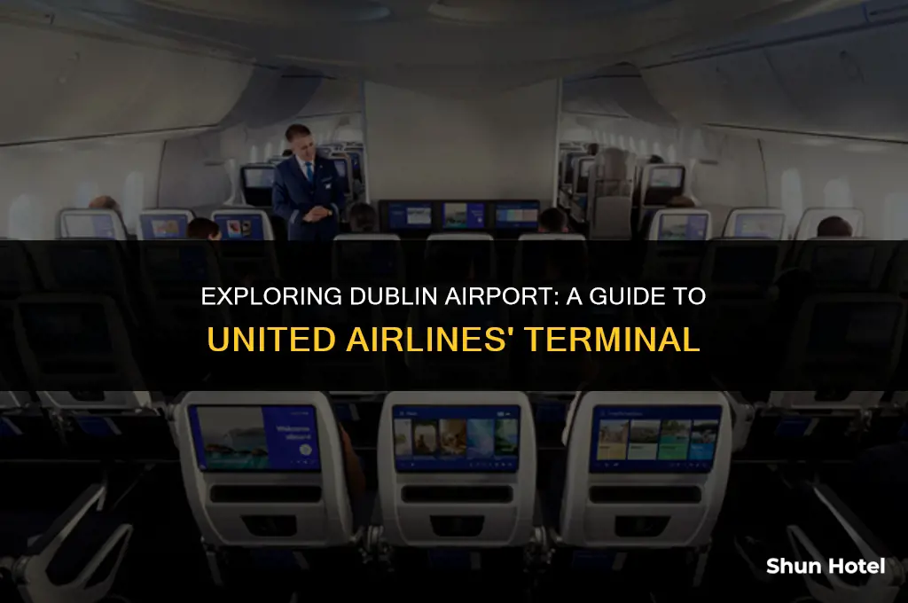what terminal is united at dublin airport