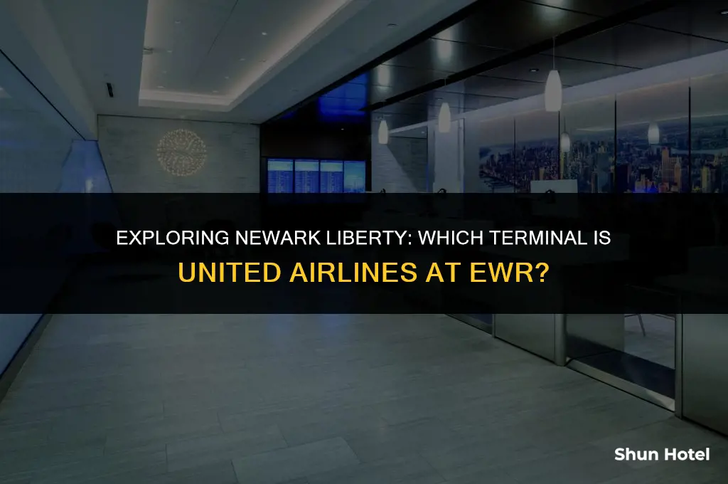 what terminal is united at ewr airport