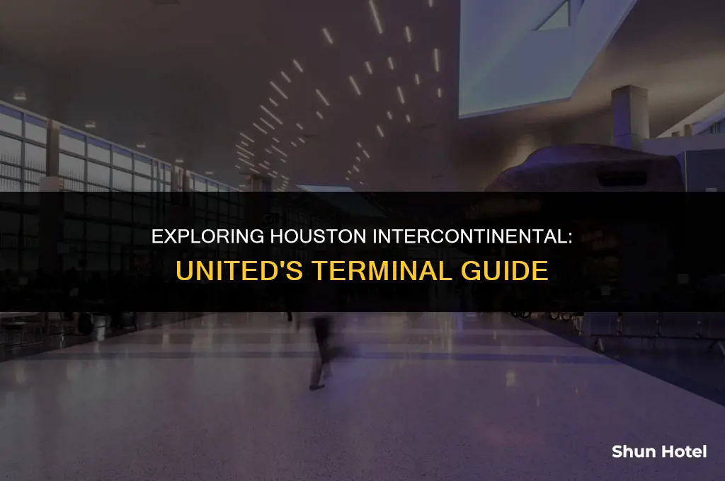 what terminal is united at houston intercontinental airport
