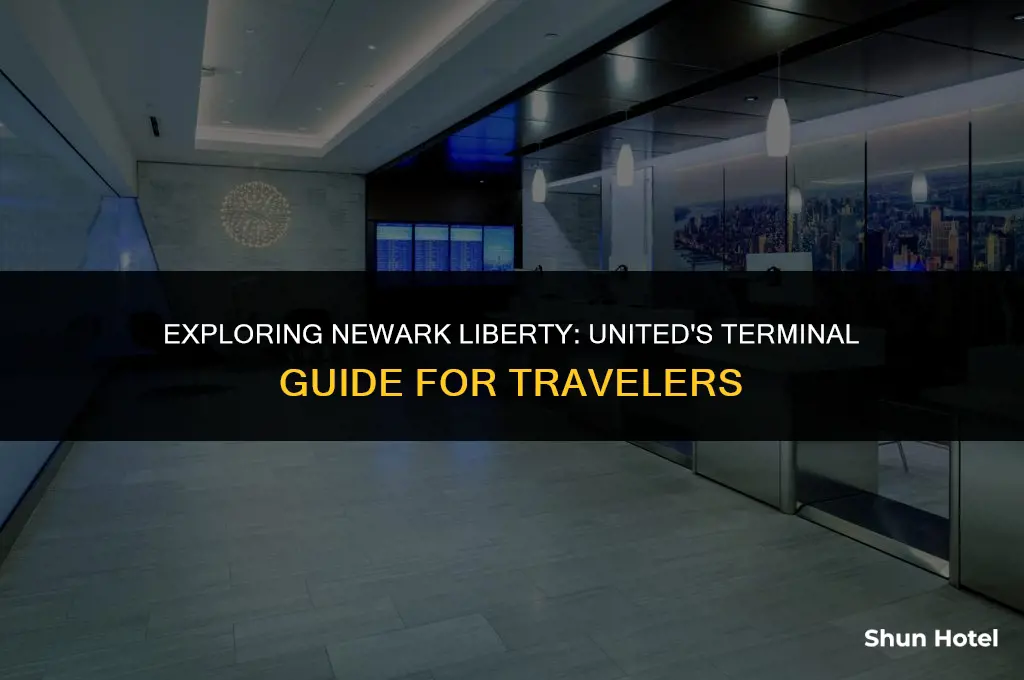 what terminal is united at newark liberty airport
