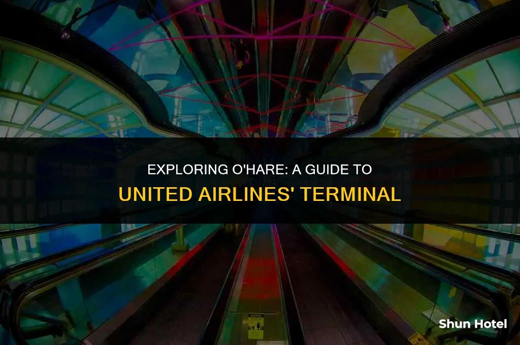 what terminal is united at o hare airport