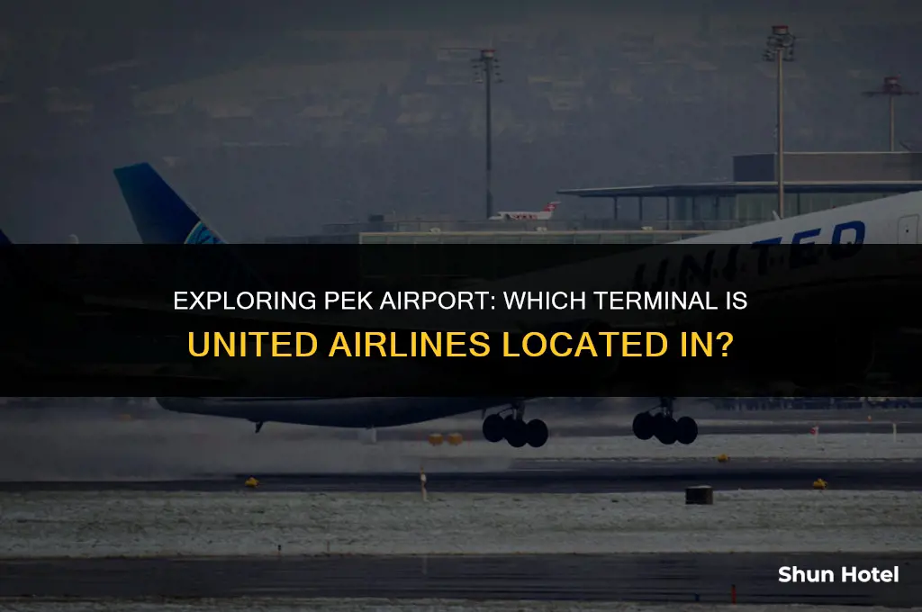 what terminal is united at pek airport