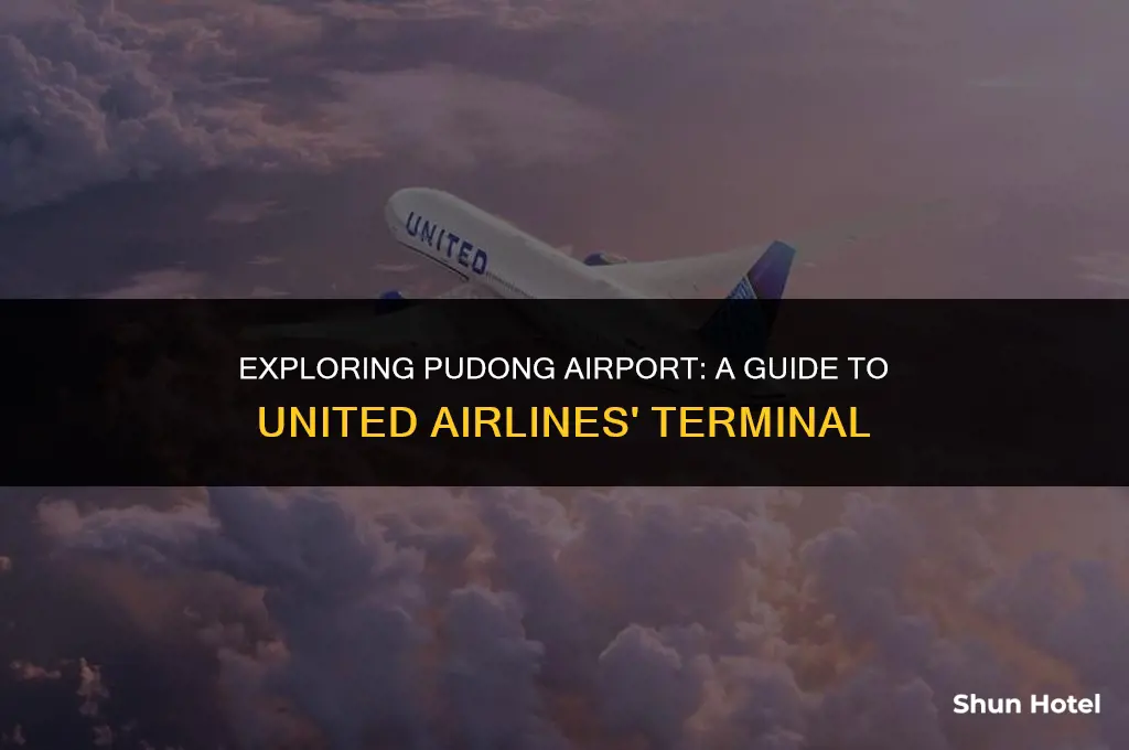 what terminal is united at pudong airport
