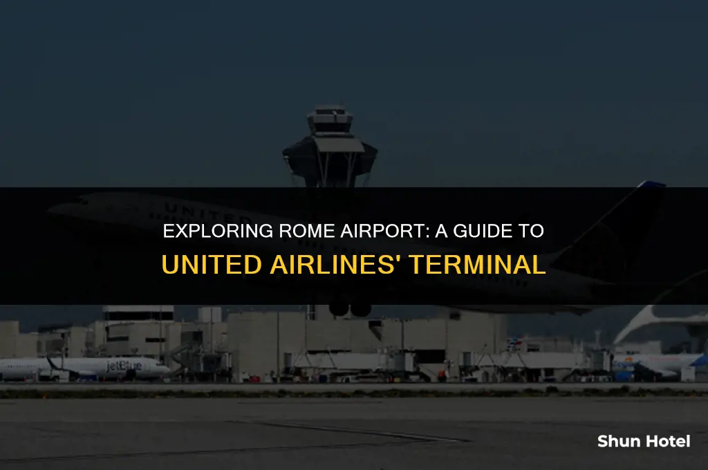 what terminal is united at rome airport